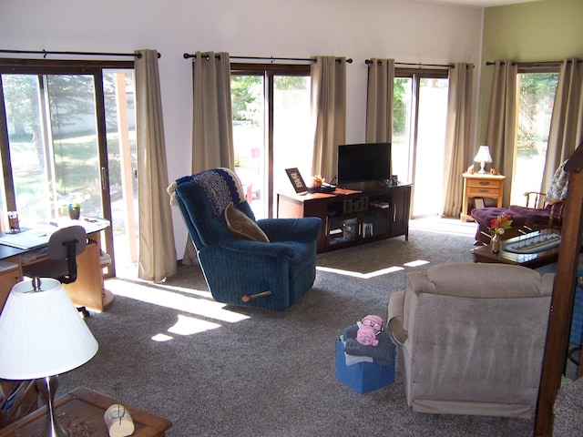 living room featuring carpet flooring