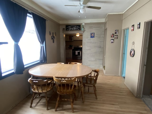 dining area featuring light wood-type flooring and a ceiling fan