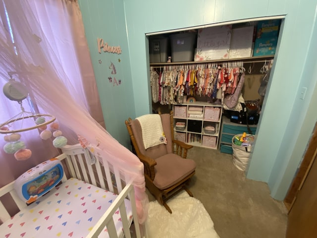 carpeted bedroom featuring a closet