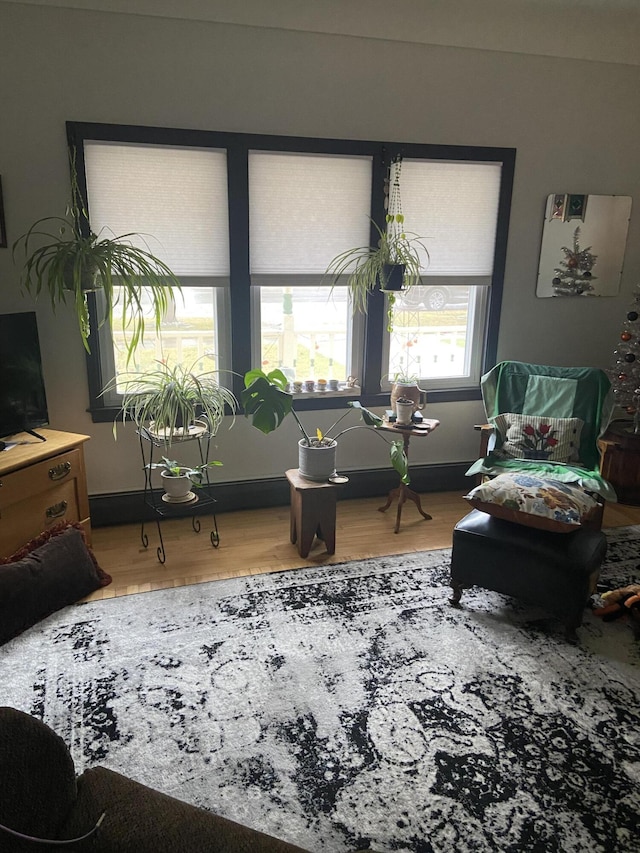 interior space with baseboards and wood finished floors