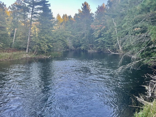 view of water feature with a wooded view