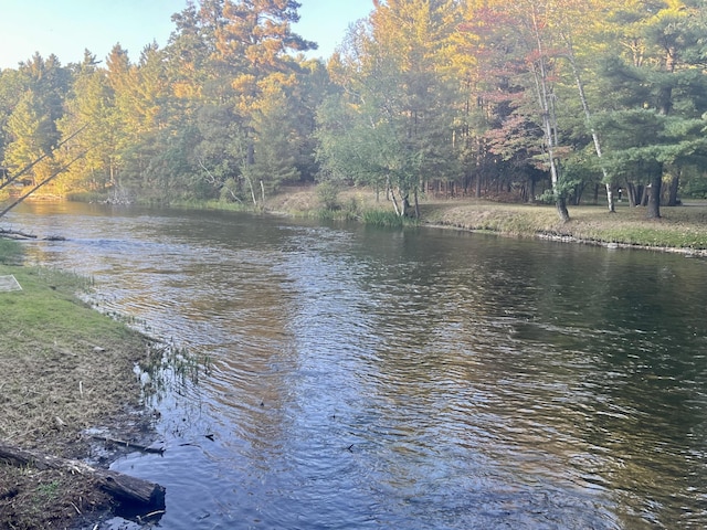 property view of water with a view of trees