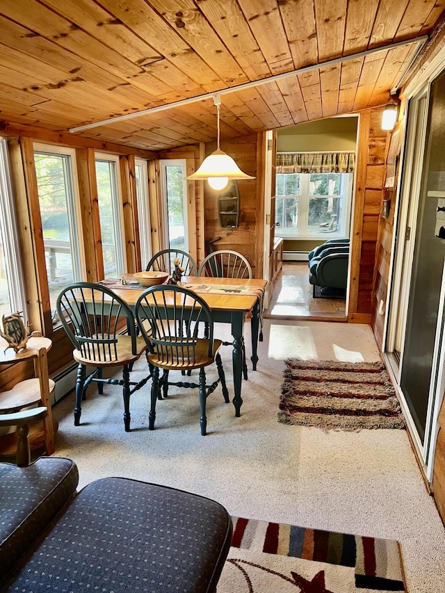 carpeted dining space featuring wooden ceiling, a healthy amount of sunlight, and wood walls