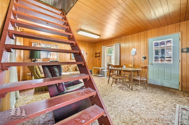 stairs with carpet floors, wooden ceiling, and wood walls