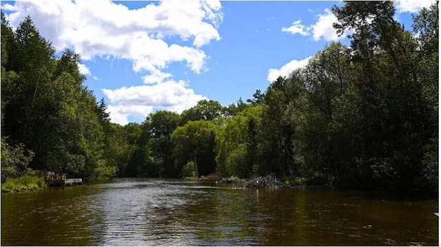 water view featuring a wooded view