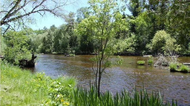 water view featuring a view of trees