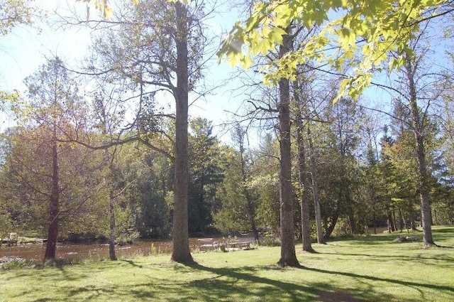 exterior space with a view of trees