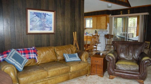 living area with wooden walls and carpet