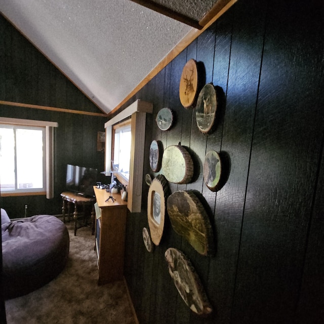 interior details with carpet and a textured ceiling