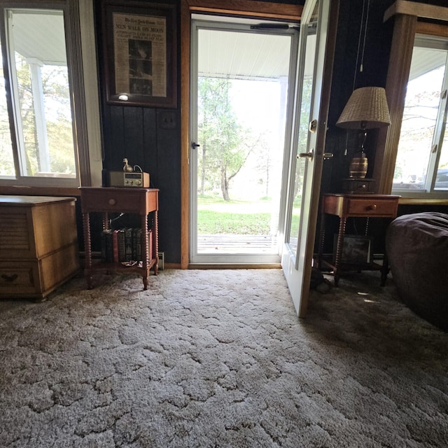 interior space with a wealth of natural light and carpet flooring