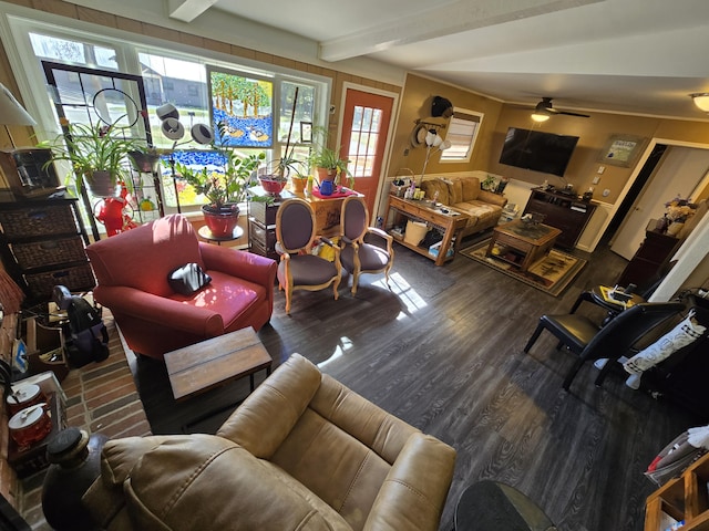 living area featuring a ceiling fan, beamed ceiling, and wood finished floors