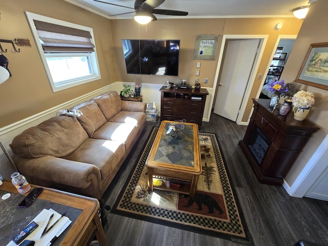 living room featuring a ceiling fan, wood finished floors, and crown molding