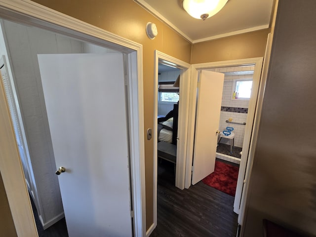 corridor featuring ornamental molding and dark wood finished floors