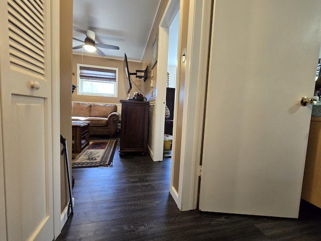 hallway with dark wood-style floors