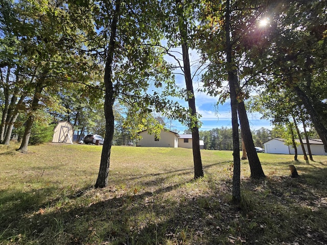 view of yard with a storage unit and an outbuilding