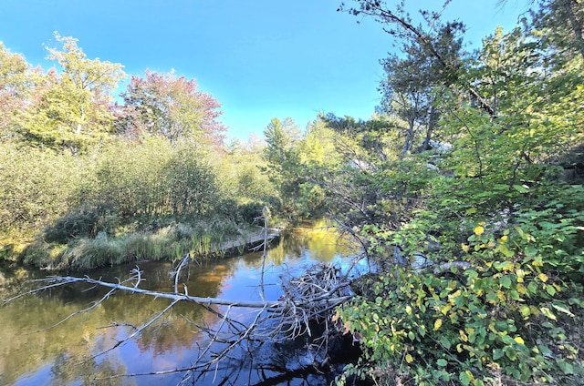 Listing photo 3 for LOT12 N Betsy River Rd, Paradise MI 49768