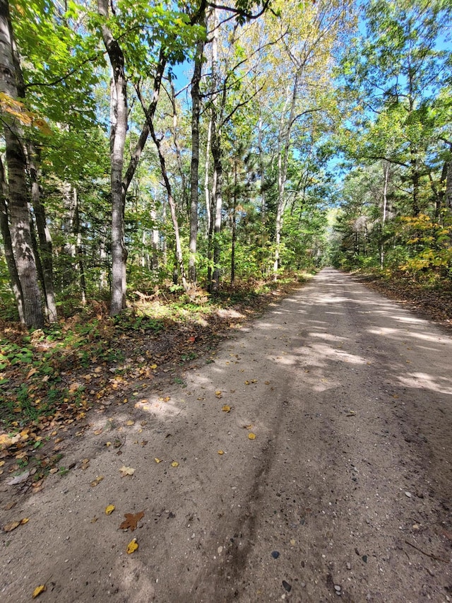 Listing photo 3 for Acorn Ridge Highway, Ocqueoc MI 49759