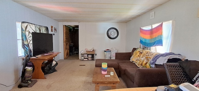 carpeted living room with plenty of natural light