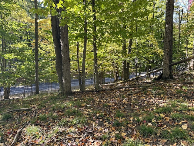 115 Doe Path Pl, Gaylord, MI 49735