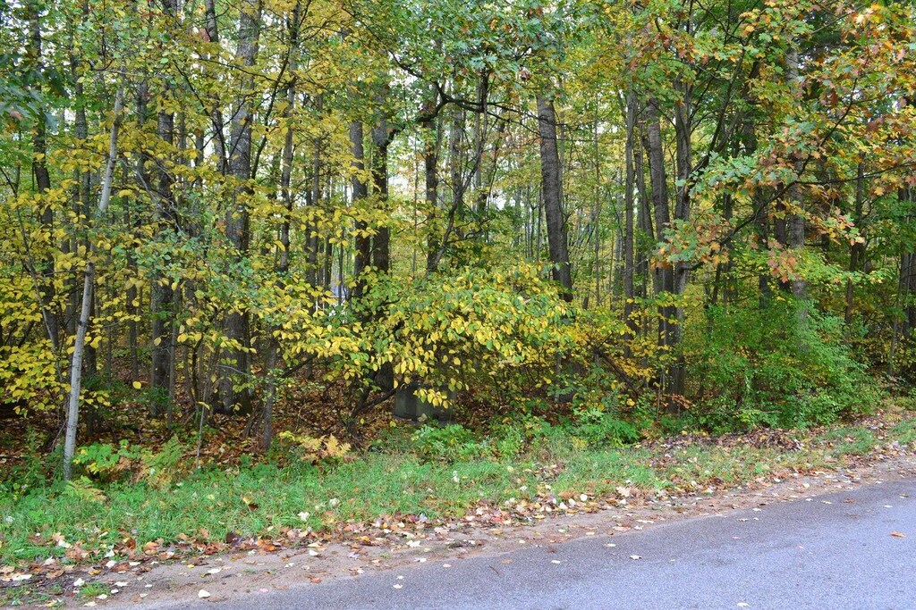 689 White Birch Dr, Houghton Lake, MI 48629