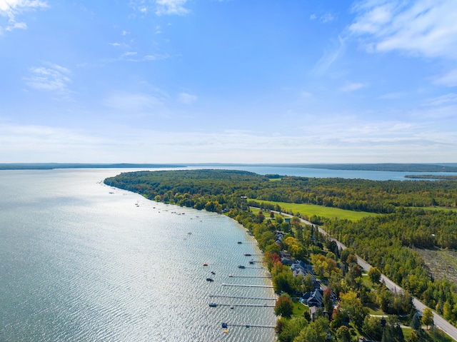 drone / aerial view with a view of trees and a water view