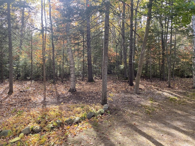 view of landscape featuring a forest view