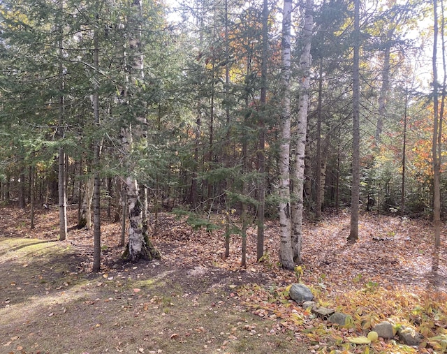 view of local wilderness with a view of trees