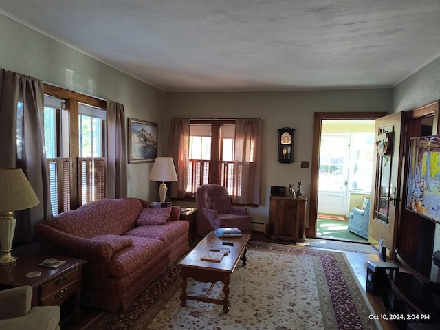 living area with a baseboard heating unit, plenty of natural light, and wood finished floors