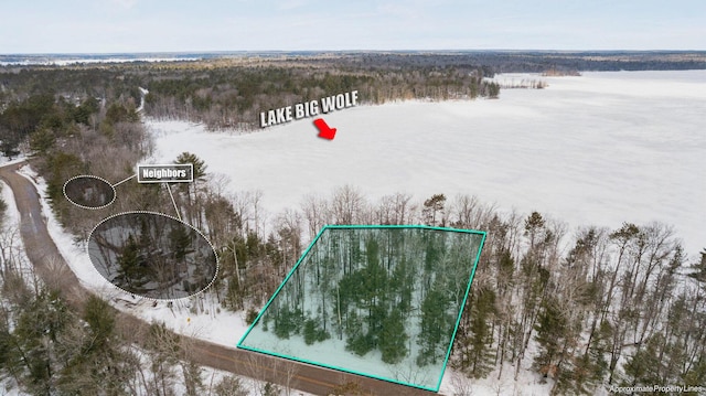 Listing photo 3 for Big Wolf Lake Rd, Lewiston MI 49756