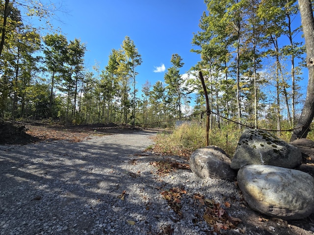 Listing photo 3 for PARCEL4 Farrier Rd, Hillman MI 49746