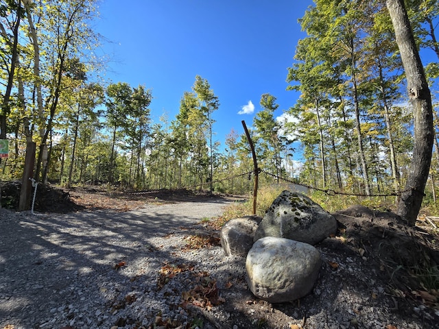 PARCEL4 Farrier Rd, Hillman MI, 49746 land for sale