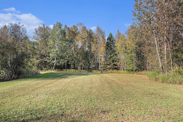 view of yard with a forest view