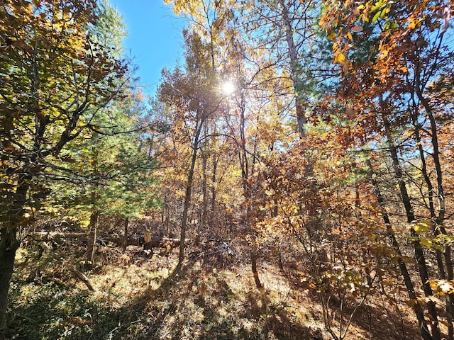 view of landscape with a wooded view