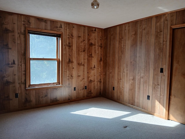 unfurnished room featuring baseboards, carpet floors, and wood walls