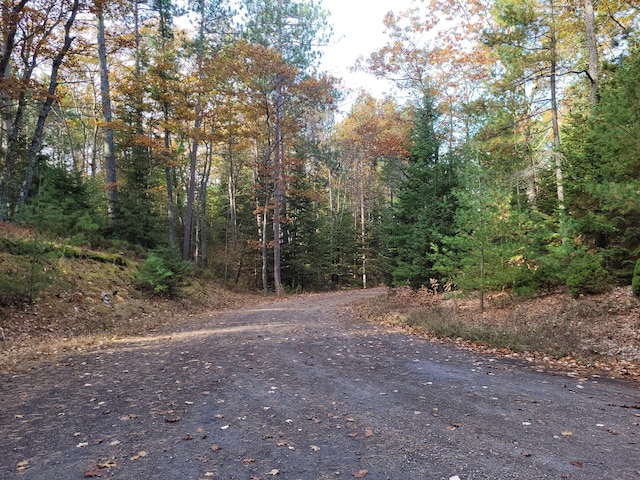 view of road with a view of trees