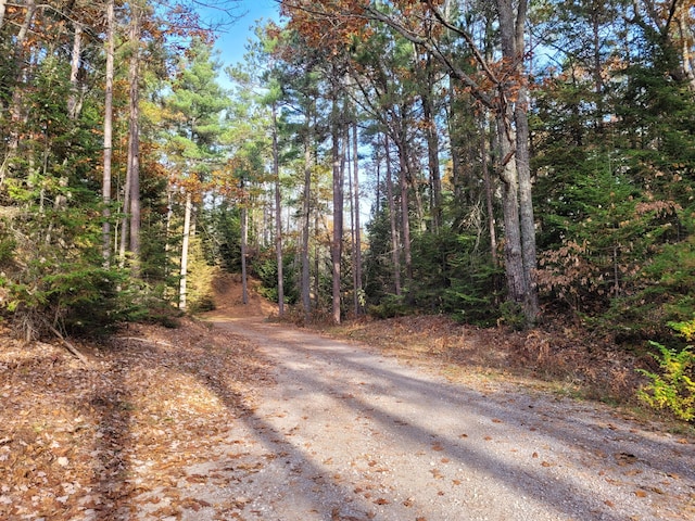 view of street featuring a view of trees