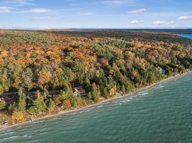 aerial view with a view of trees and a water view