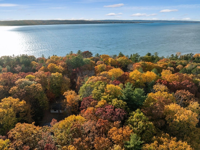 drone / aerial view featuring a water view