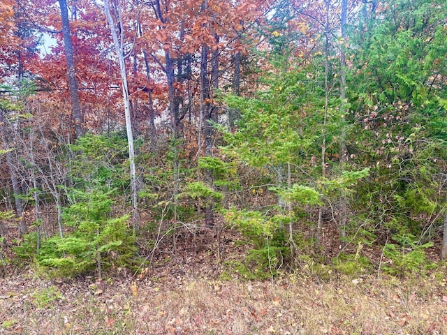 LOT45 Pine St, Presque Isle MI, 49777 land for sale