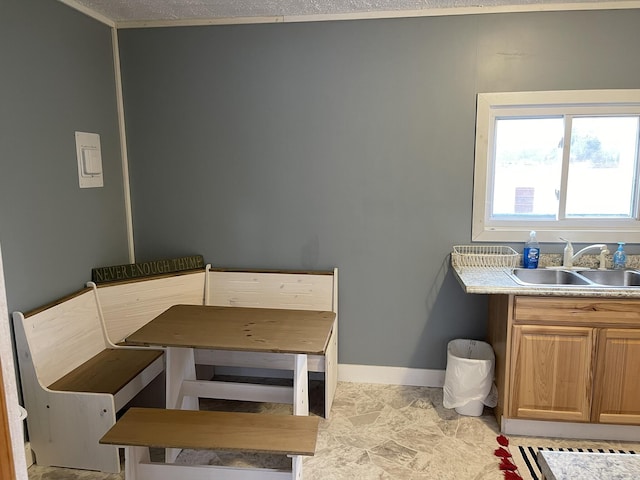 dining room featuring baseboards