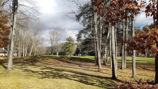 view of home's community featuring a yard