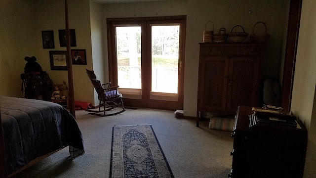 bedroom featuring multiple windows and carpet floors