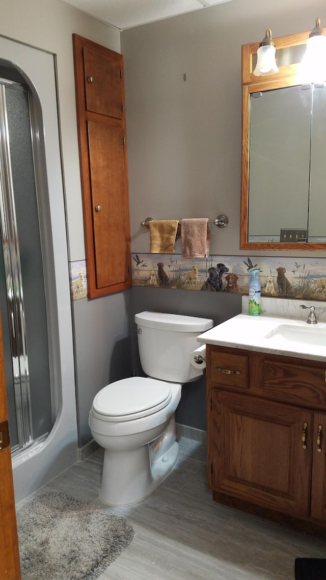 full bathroom featuring toilet, vanity, and a shower with shower door