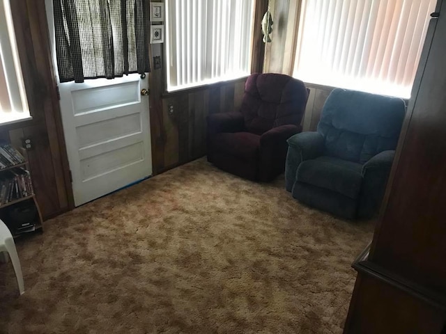 view of carpeted living area