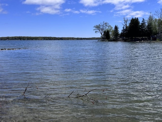 17131 Paradise Cove Rd, Alpena, MI 49707 - photo 8