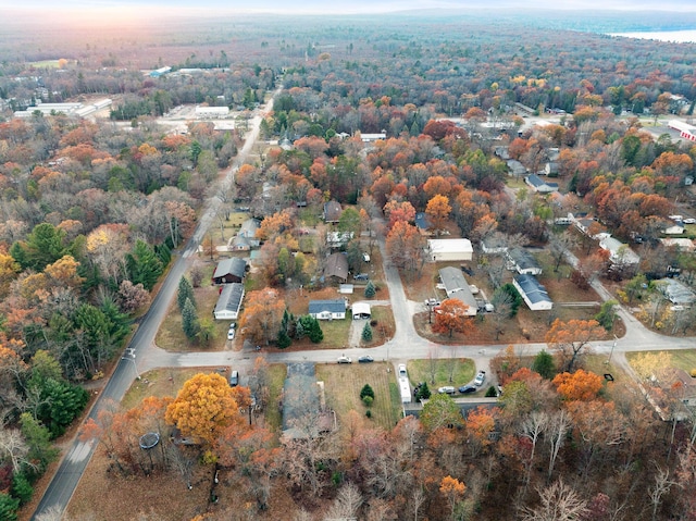 4963 Eastway Dr, Indian River, MI 49749 - aerial view