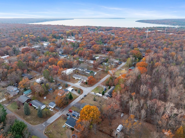 4963 Eastway Dr, Indian River, MI 49749 - aerial view featuring a forest view and a water view