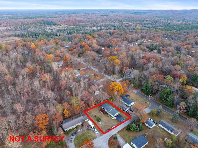 4963 Eastway Dr, Indian River, MI 49749 - birds eye view of property with a forest view
