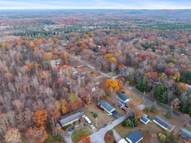 4963 Eastway Dr, Indian River, MI 49749 - birds eye view of property featuring a forest view