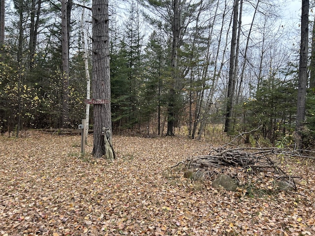 view of local wilderness featuring a view of trees